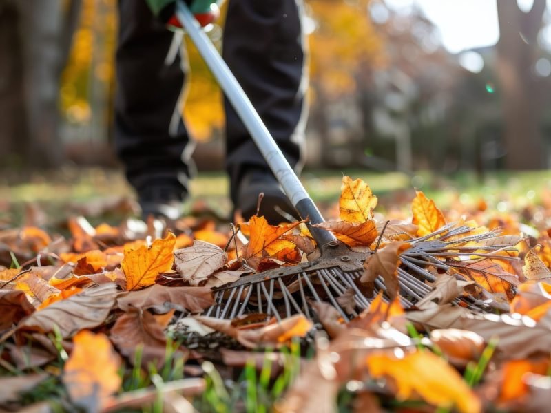 A person is cleaning up fallen leaves using a broom on the ground in a suburban backyard.